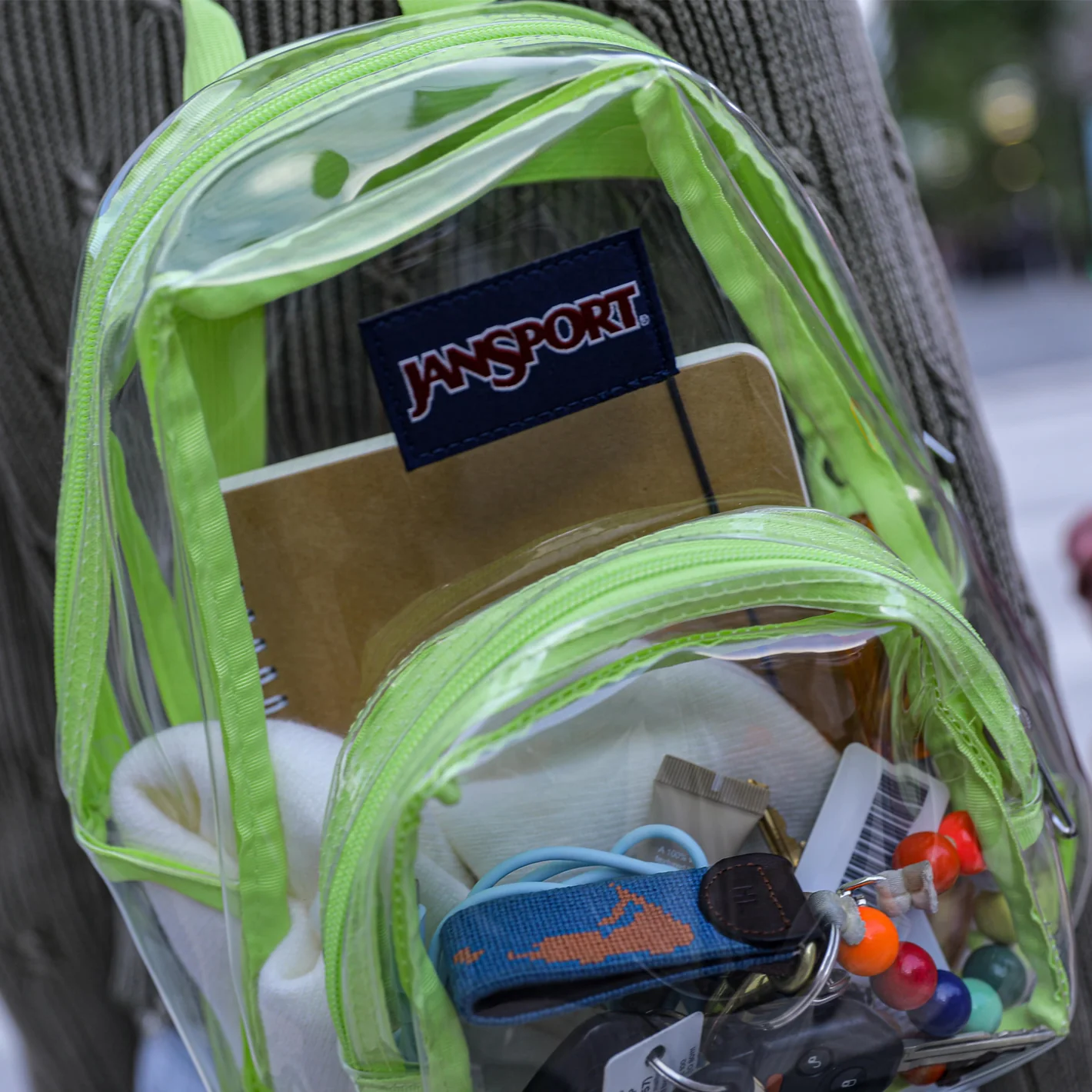 30126jansport-clearpack-nov